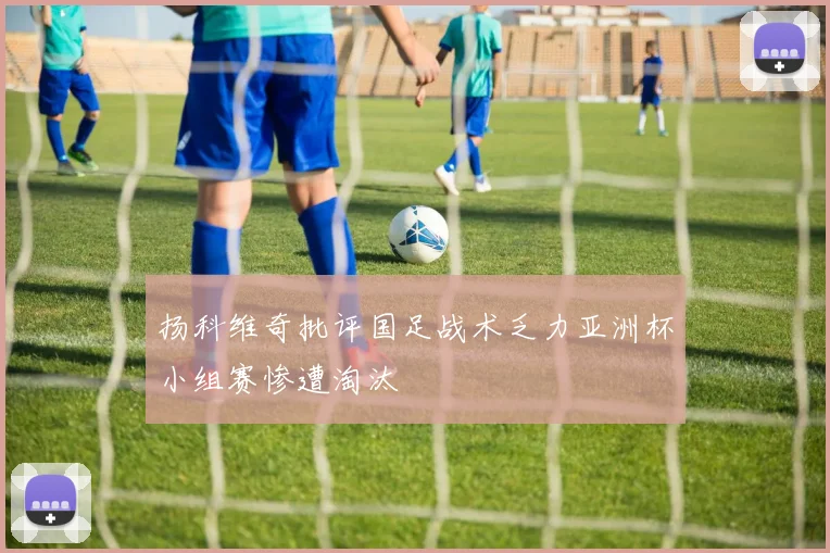 扬科维奇批评国足战术乏力亚洲杯小组赛惨遭淘汰