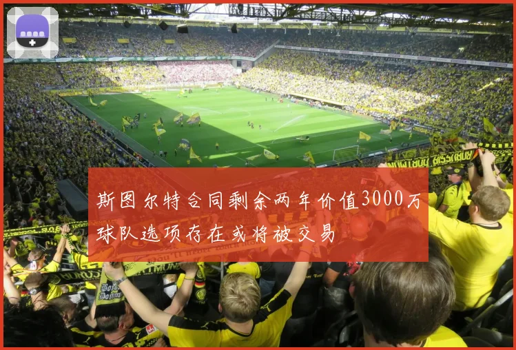 斯图尔特合同剩余两年价值3000万球队选项存在或将被交易